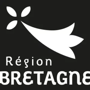 2 Region Bretagne Converti - SNT