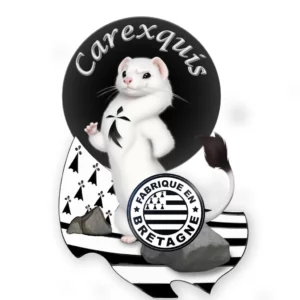 Carexquis Logo 1024x1024 1 - SNT