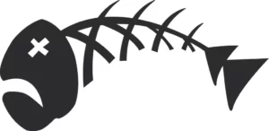 Metaleu 1024x497 1 - SNT