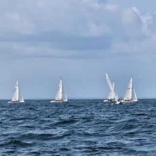 📸 Retour en images sur un week-end de régates !
Ce week-end, et jusqu’à aujourd’hui, se sont déroulés le National Requin, les Voiles Classiques et le National 7m50.

Pour prendre connaissance des résultats, rendez-vous sur : https://snt-voile.org/ ⛵️